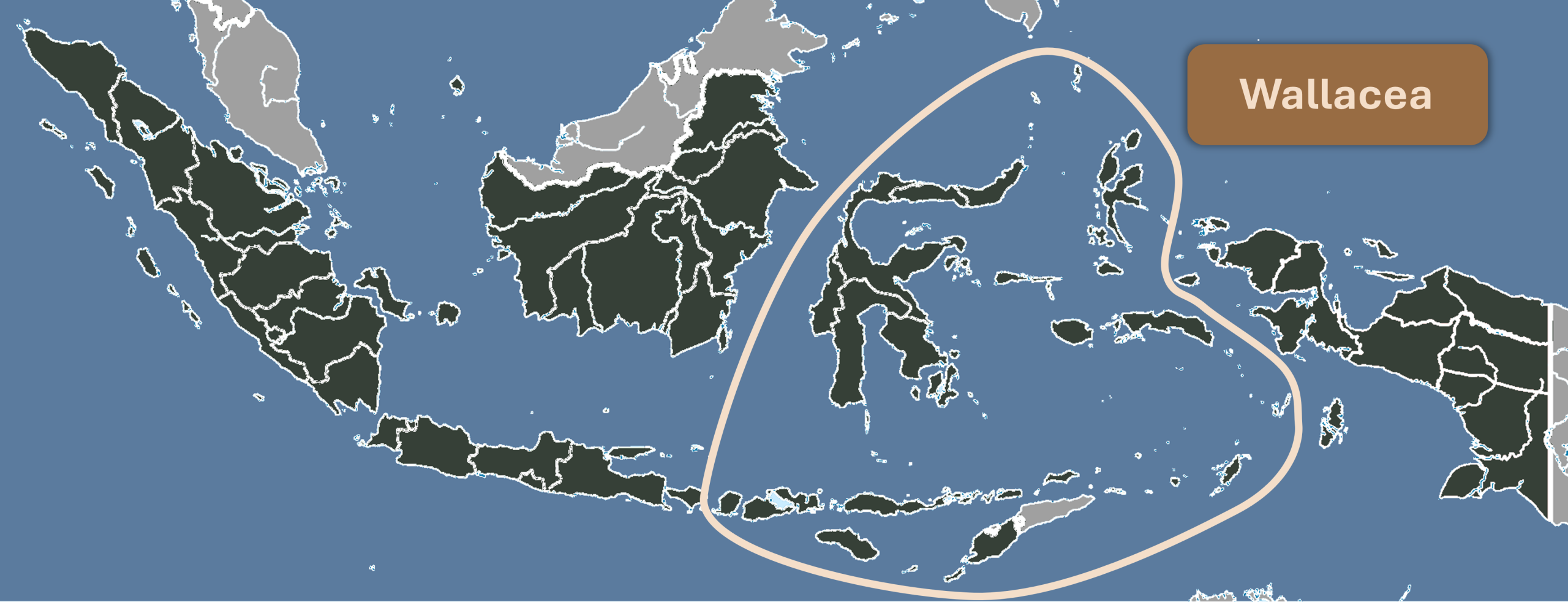 wallacea