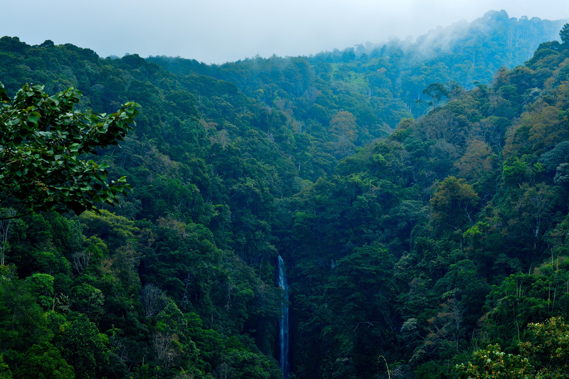 waterfall in jungle