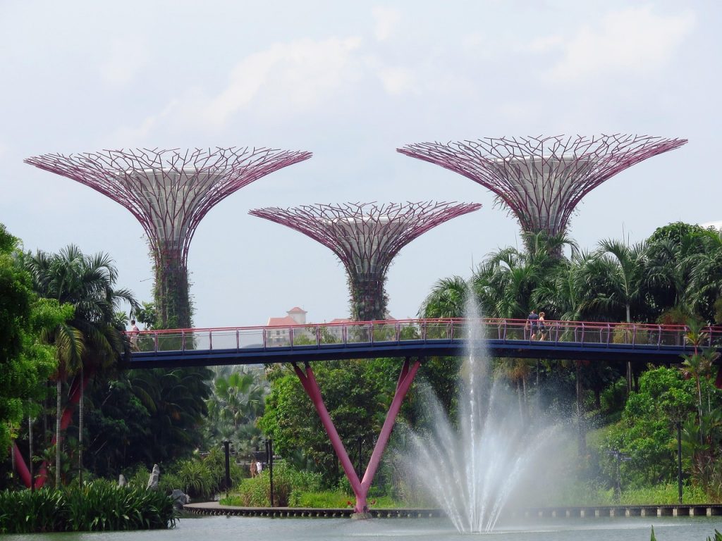 singapore, garden by the bay, marina, nature, tourism, garden, asia