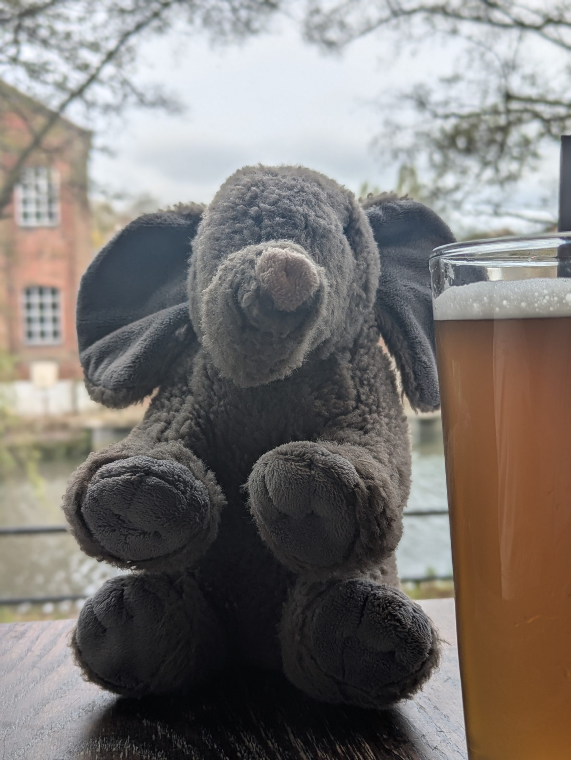 pxl 20260415 104103904.portrait