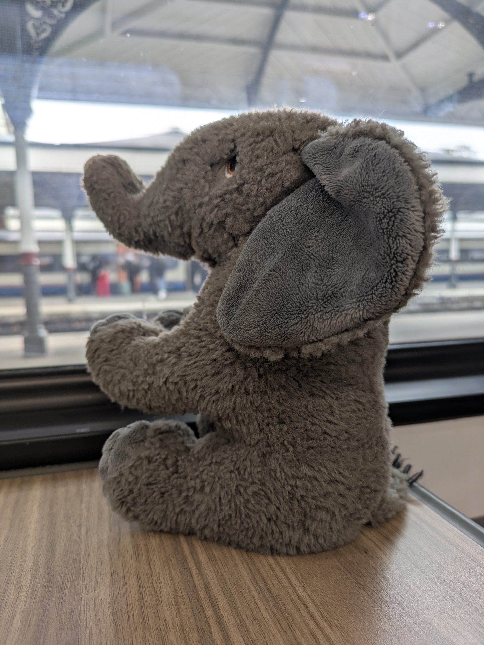 pxl 20260415 113701125