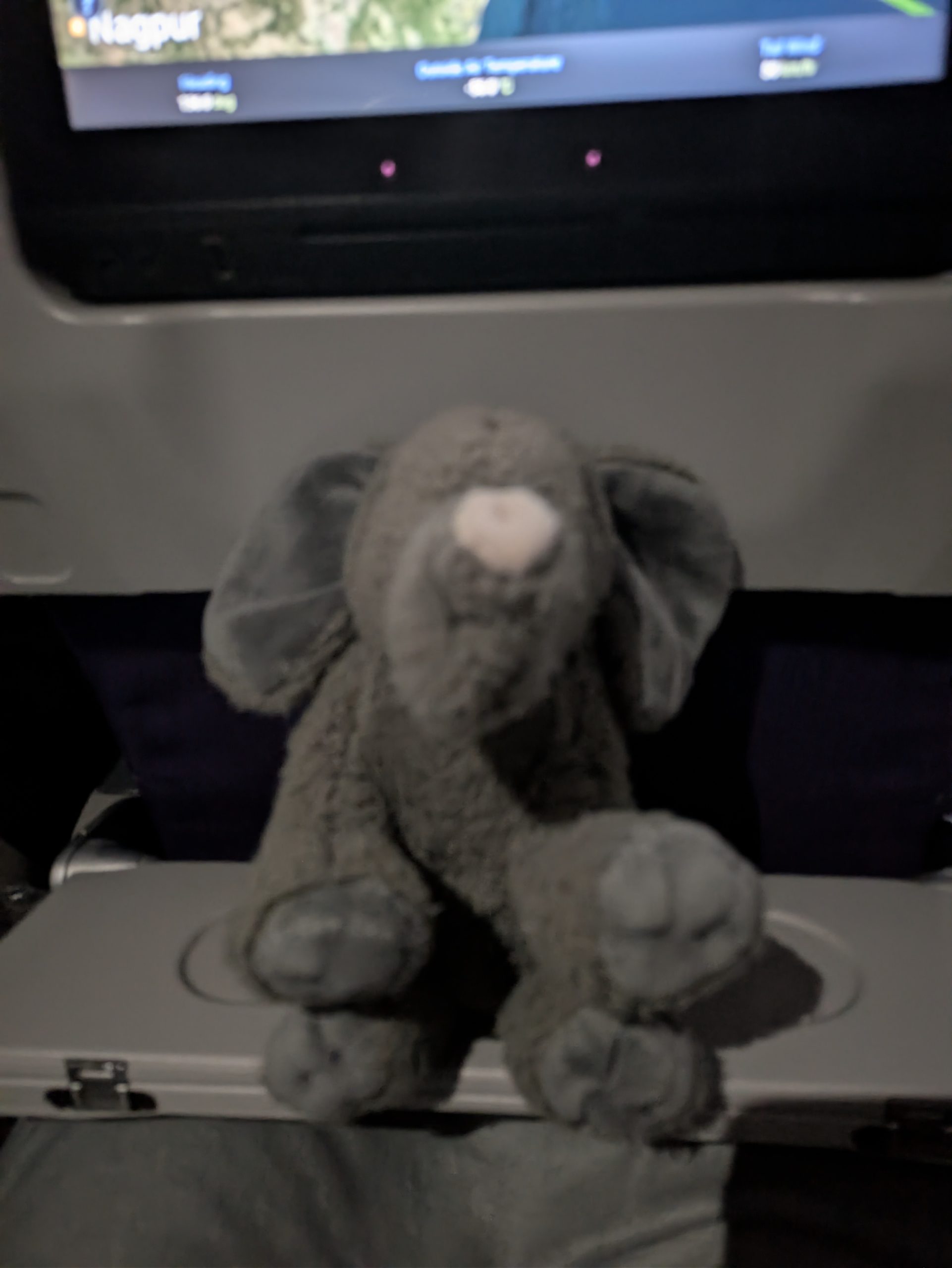 pxl 20260416 185815419.night