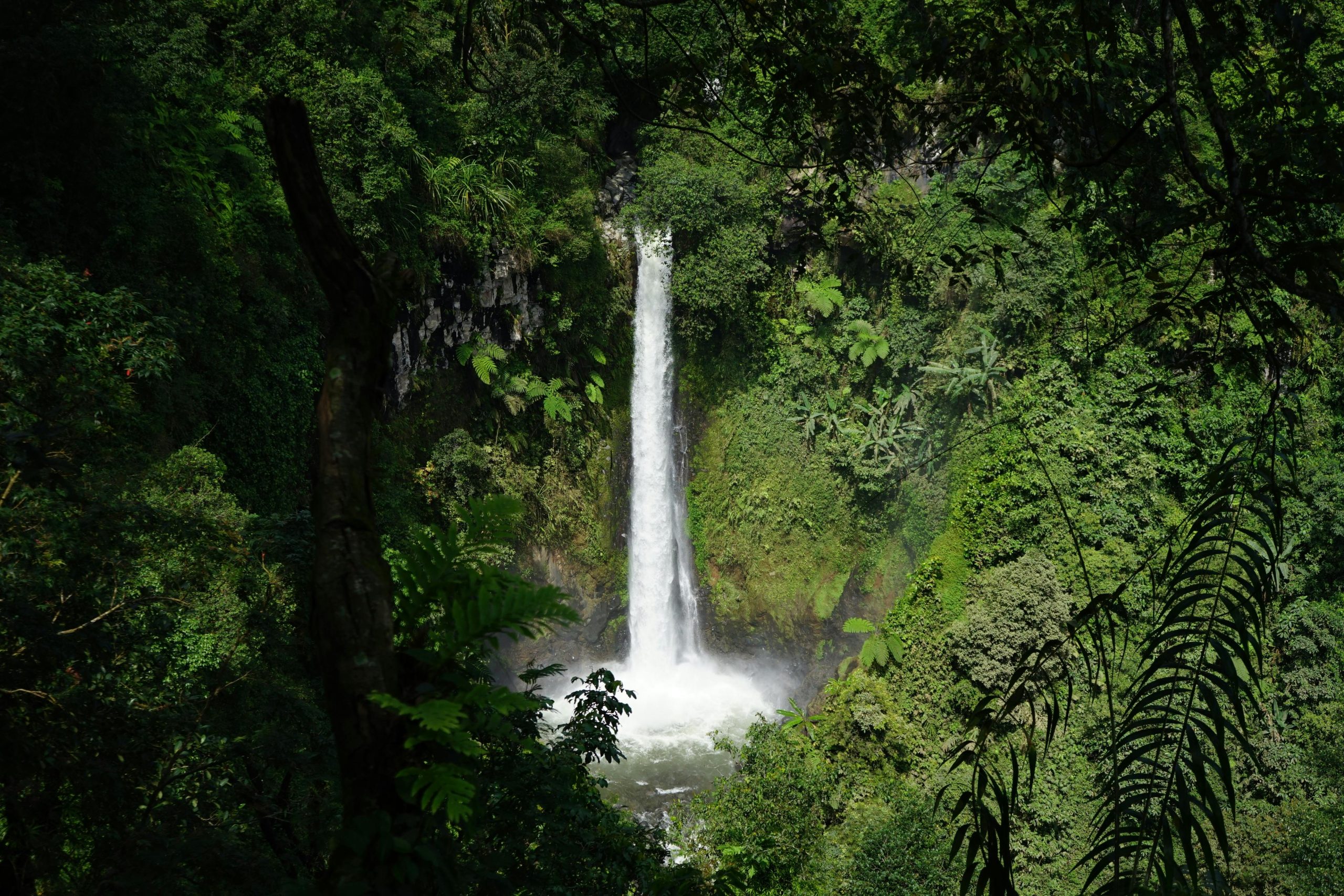 A breathtaking waterfall in the dense jungle of Batang, Central Java, Indonesia.