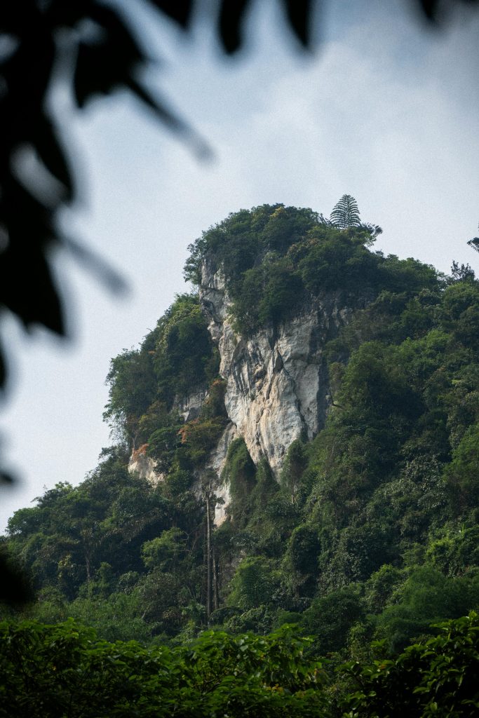 A stunning mountainous landscape with dense vegetation captured in a vertical frame, highlighting natural beauty.